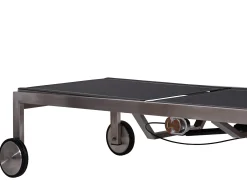 Edelstahl Gartenliege Palladium Easy Lift silvergrey
