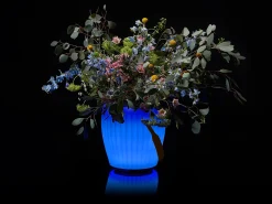 LED & Lautsprecher Sektkühler Blumenvase The Joouly Bowl