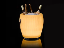 LED & Lautsprecher Sektkühler Blumenvase The Joouly Bowl