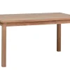 Teakholz Gartentisch Silfia Bistro 120x80cm